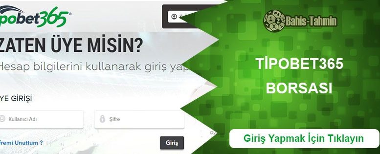 Tipobet365 Borsası