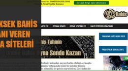 En Yüksek Bahis Oranı Veren İddaa Siteleri